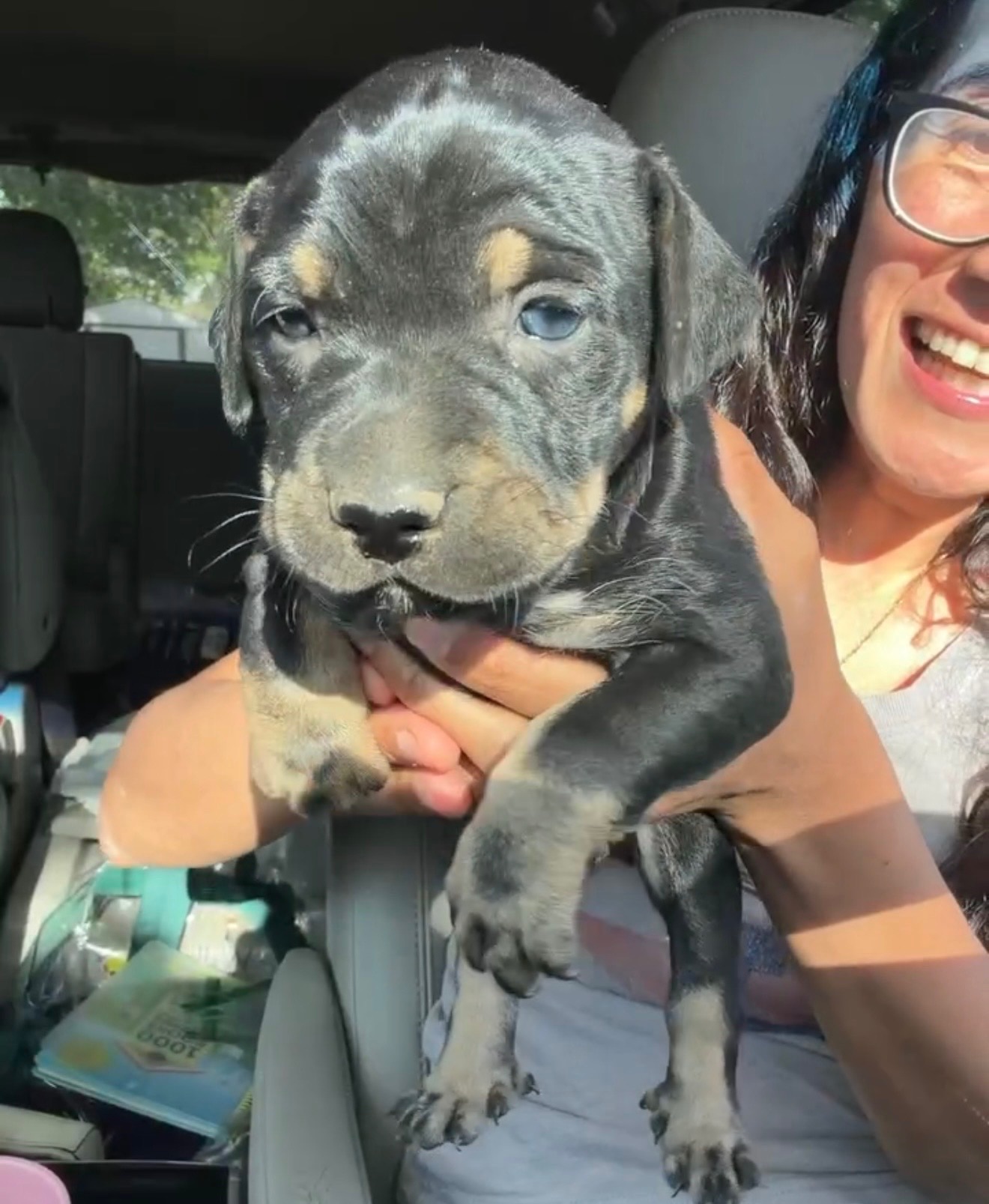 A small black-and-tan puppy being held inside a vehicle, looking toward the camera.