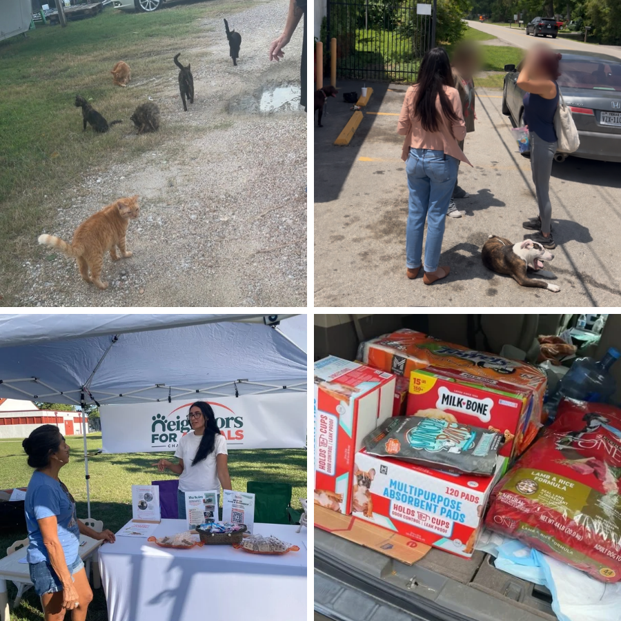 collage of community work