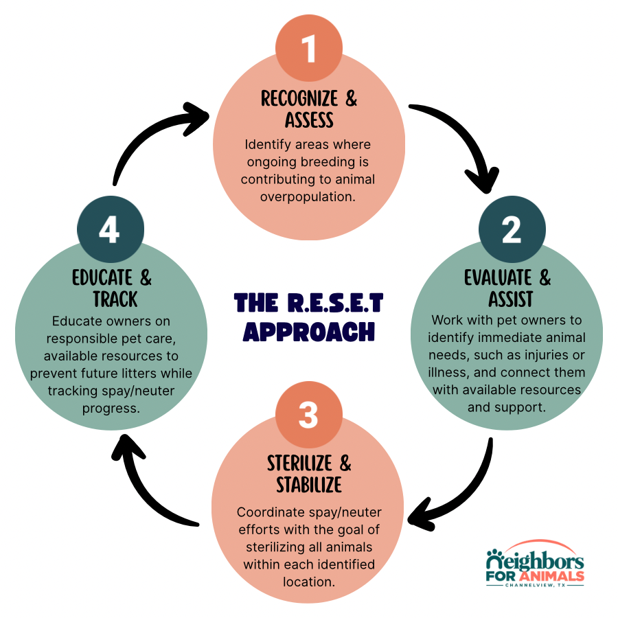 RESET Model steps to identify, help, sterilize, and educate owners/pet